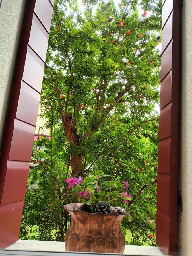 Hotel Il Melograno Vittorio Veneto Zewnętrze zdjęcie